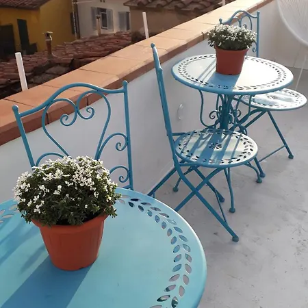 Pensión The Dream Terrace - Marty Violet